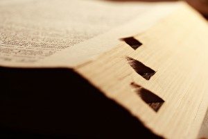 Word Origins: Meet Your New Words