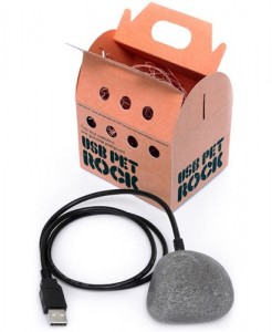 USB Gadgets Pet Rock