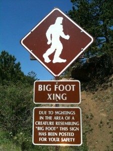 The Big Hunt for Bigfoot