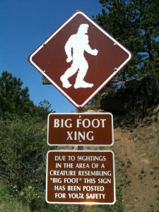 Hunt for Bigfoot