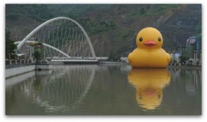 Missing Rubber Ducky