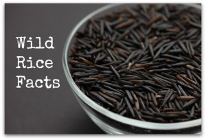 Wild Rice Facts