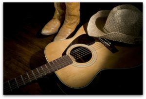 Musicians Who Went Country