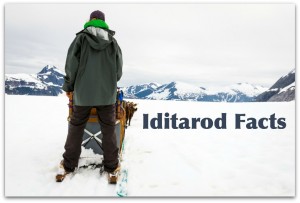 Daily Fun Facts about Iditarod