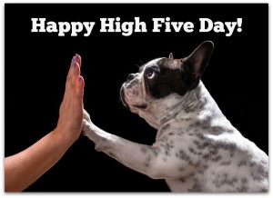 Happy National High Five Day