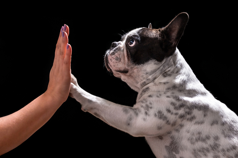 Happy National High Five Day_FB