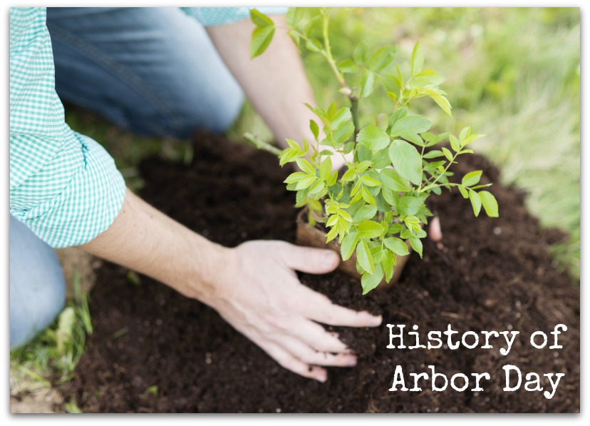History of Arbor Day