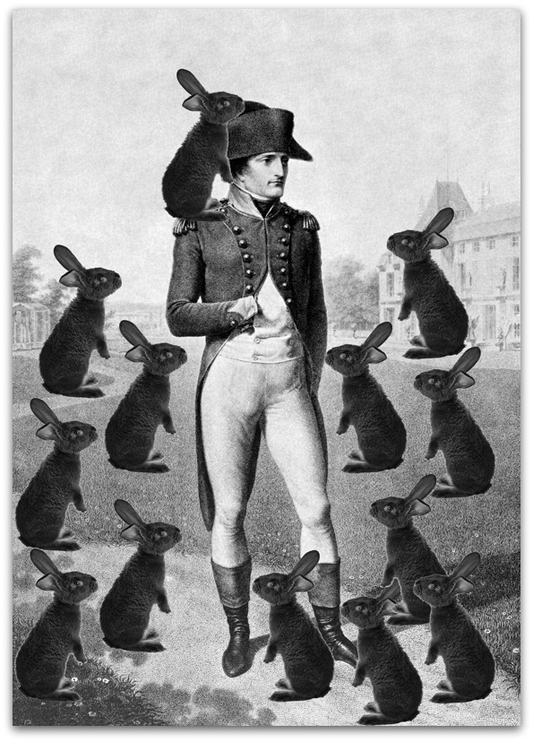 Fun History Trivia: Napoleon vs. the Bunnies