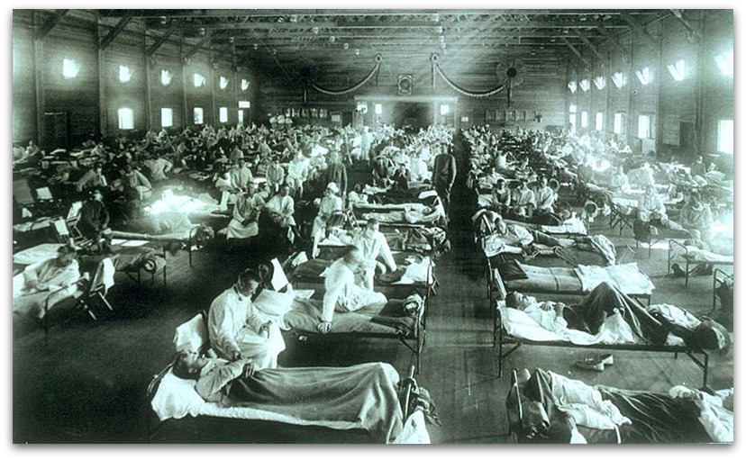 Spanish Flu and Other Plagues