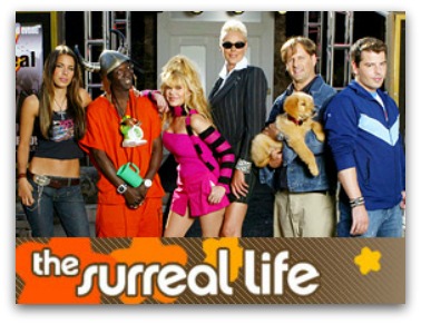 The Surreal Life Season 3