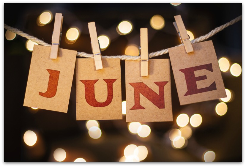 Weird June Holidays