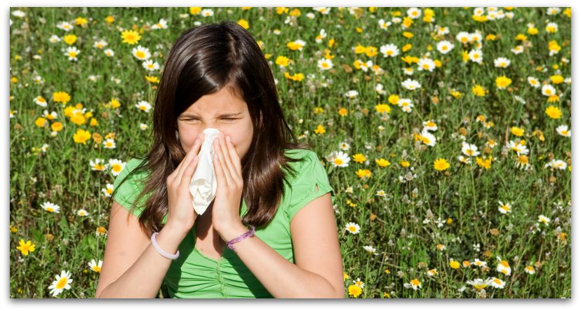 How are pollen counts calculated?