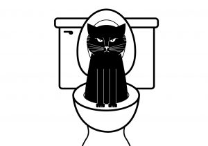 How to Toilet Train a Cat Blog