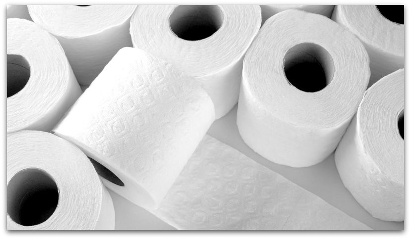 Random Facts About Toilet Paper History
