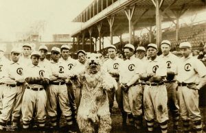 1908 Chicago Cubs baseball team with mascot.