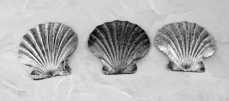 Three seashells