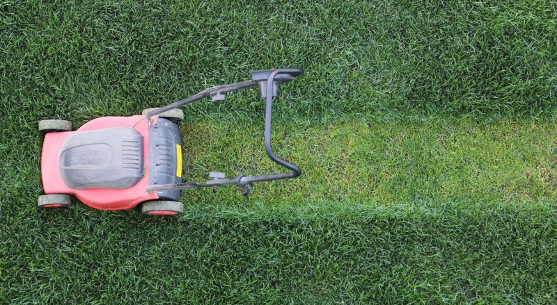 Interesting Lawn Care Facts