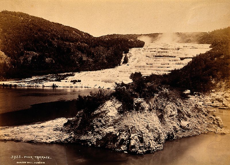Pink_and_White_Terraces,_New_Zealand;_terraced_thermal_pools_Wellcome_V0038492