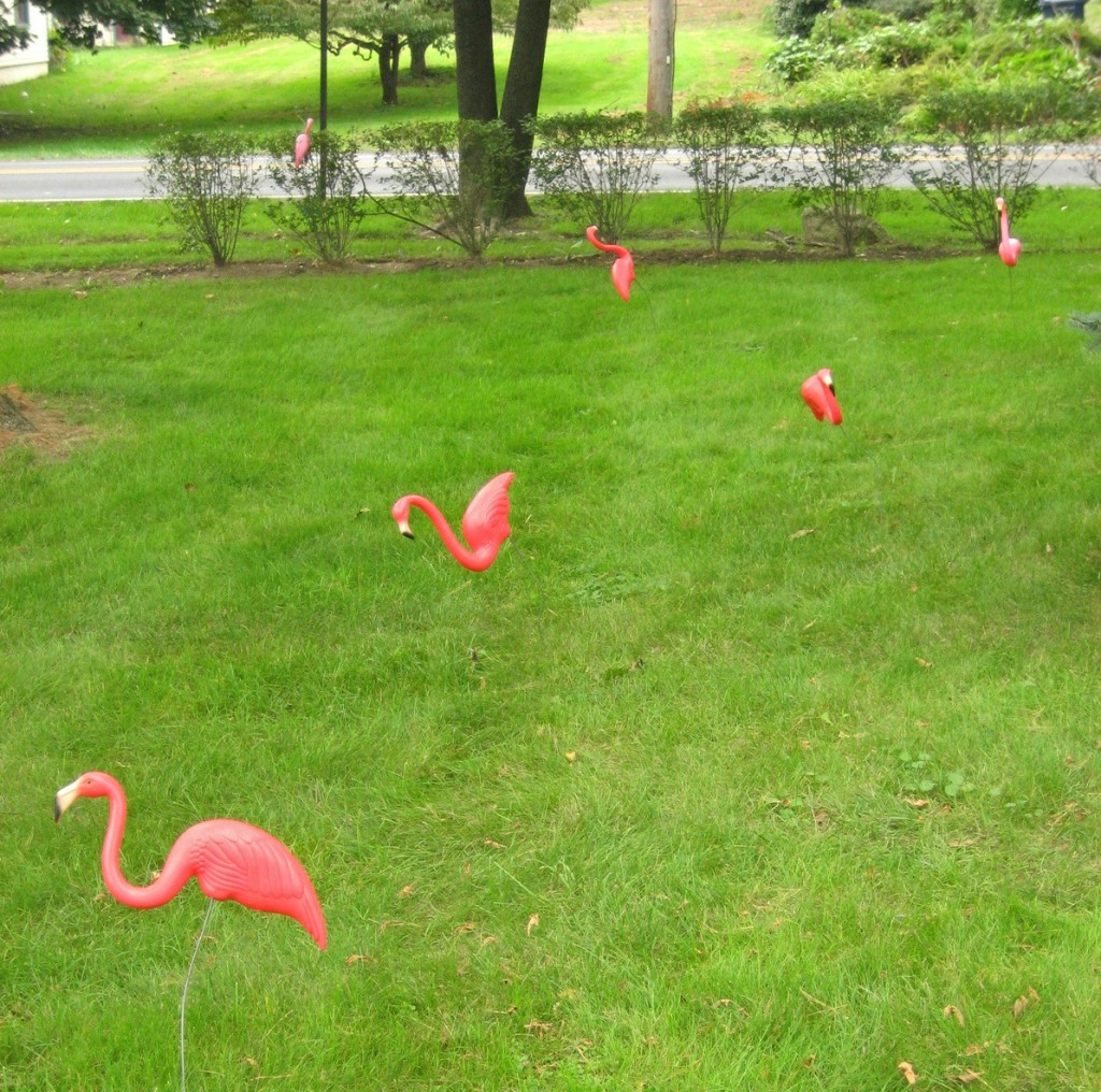 pink flamingo lawn ornaments