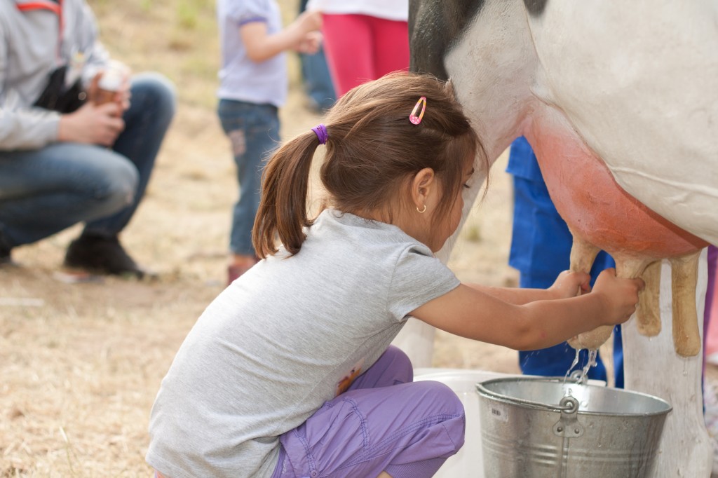 It takes about 350 “squirts” to make a gallon of milk.