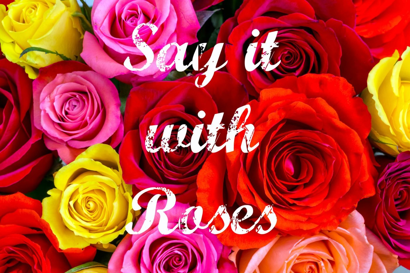 The Meaning of Roses