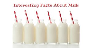 Interesting Facts About Milk