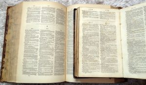 Johnson Folio and Abridged Dictionaries