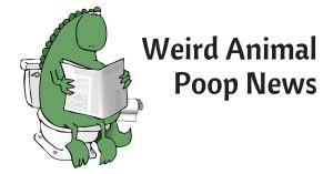 Weird Animal Poop News