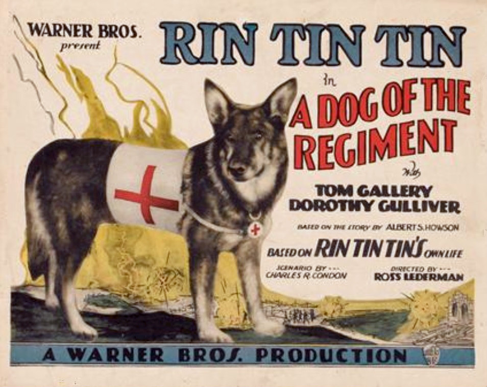 Rin Tin Tin