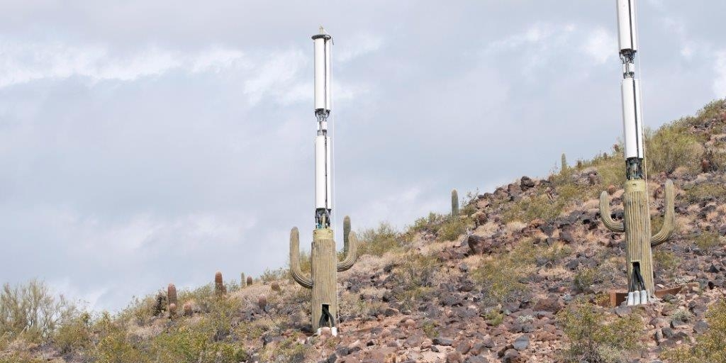 Cell Tower Cactus