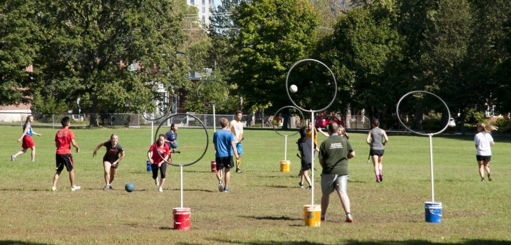 Quidditch for Muggles, Harry Potter