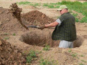 Amazing Things Found In People’s Backyards