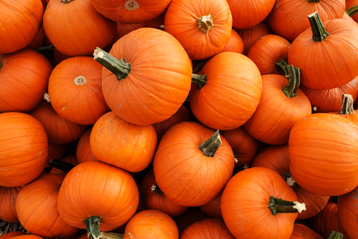 Pumpkin Facts and Trivia
