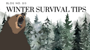 You vs. The Winter: Who Wins?