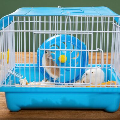 A cage for small pets.